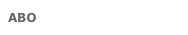 ABOUT THE PRESIDENT